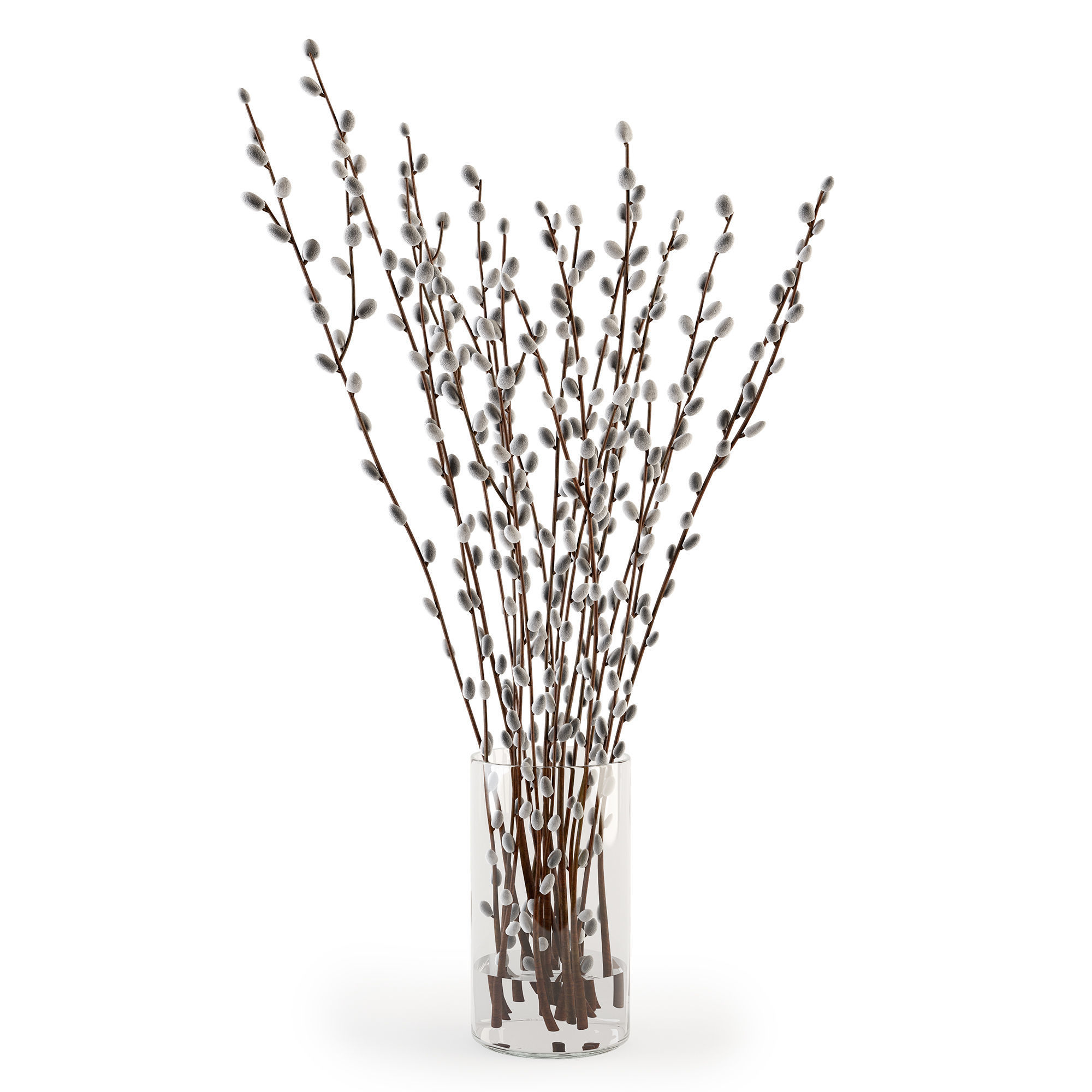 Branches in a vase 006 3D model_12