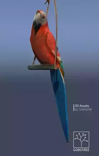 Vintage wooden parrot Domi