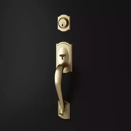 Entry Door Handle