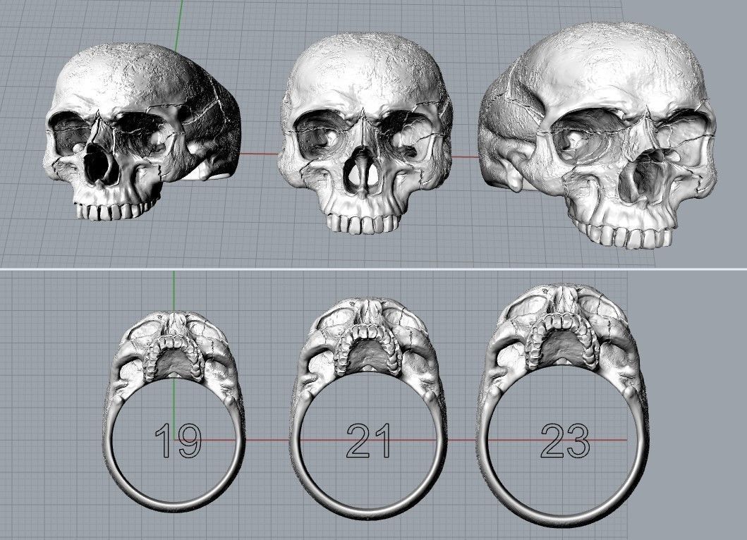 skull ring without jaw ver2 3D print model_12