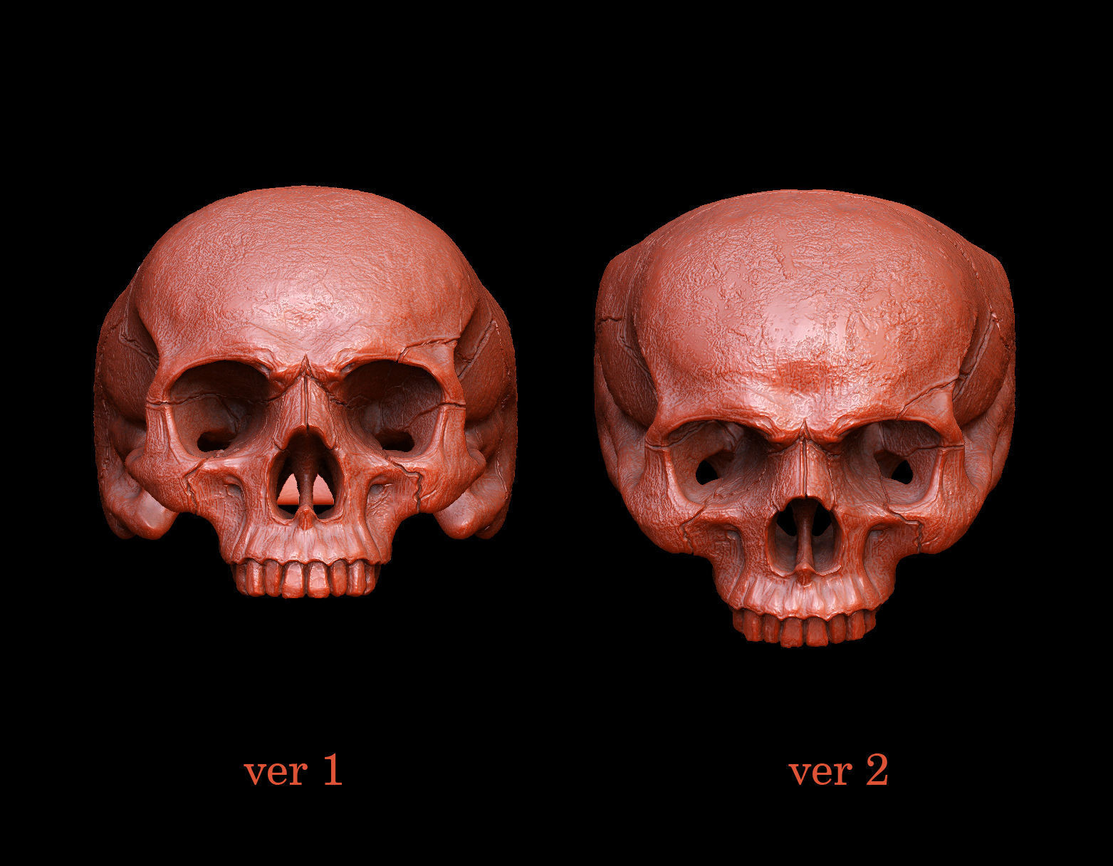 skull ring without jaw ver2 3D print model_8