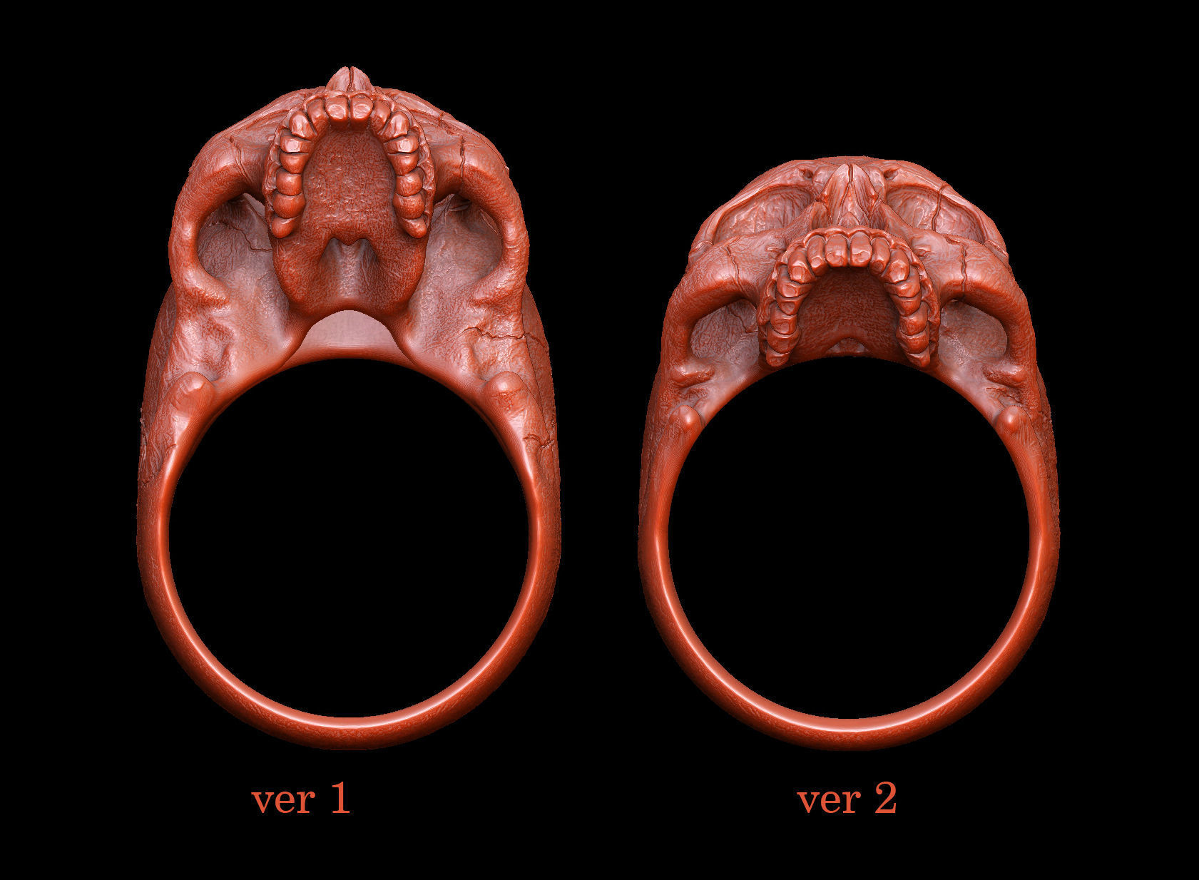 skull ring without jaw ver2 3D print model_7