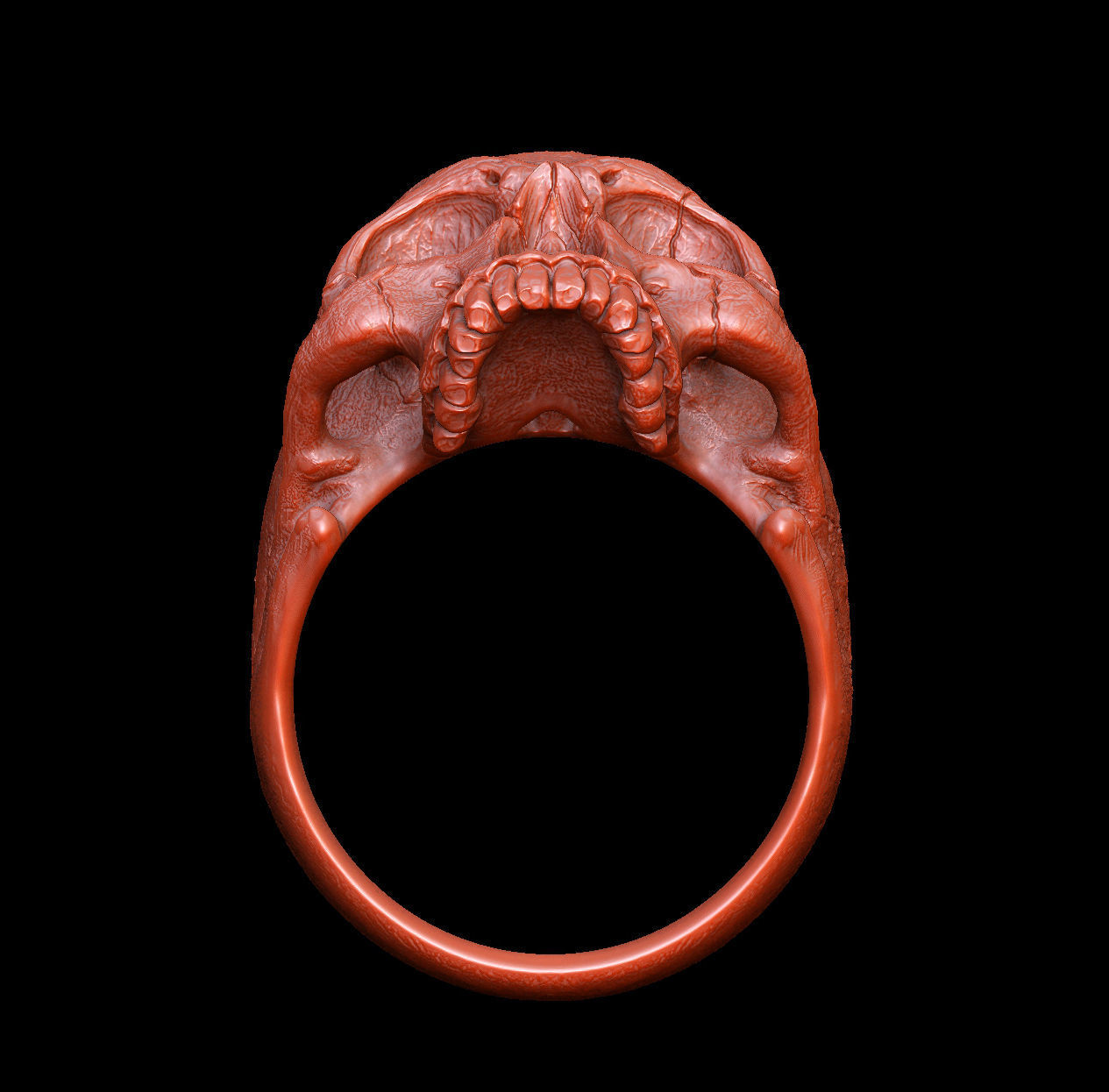 skull ring without jaw ver2 3D print model_5