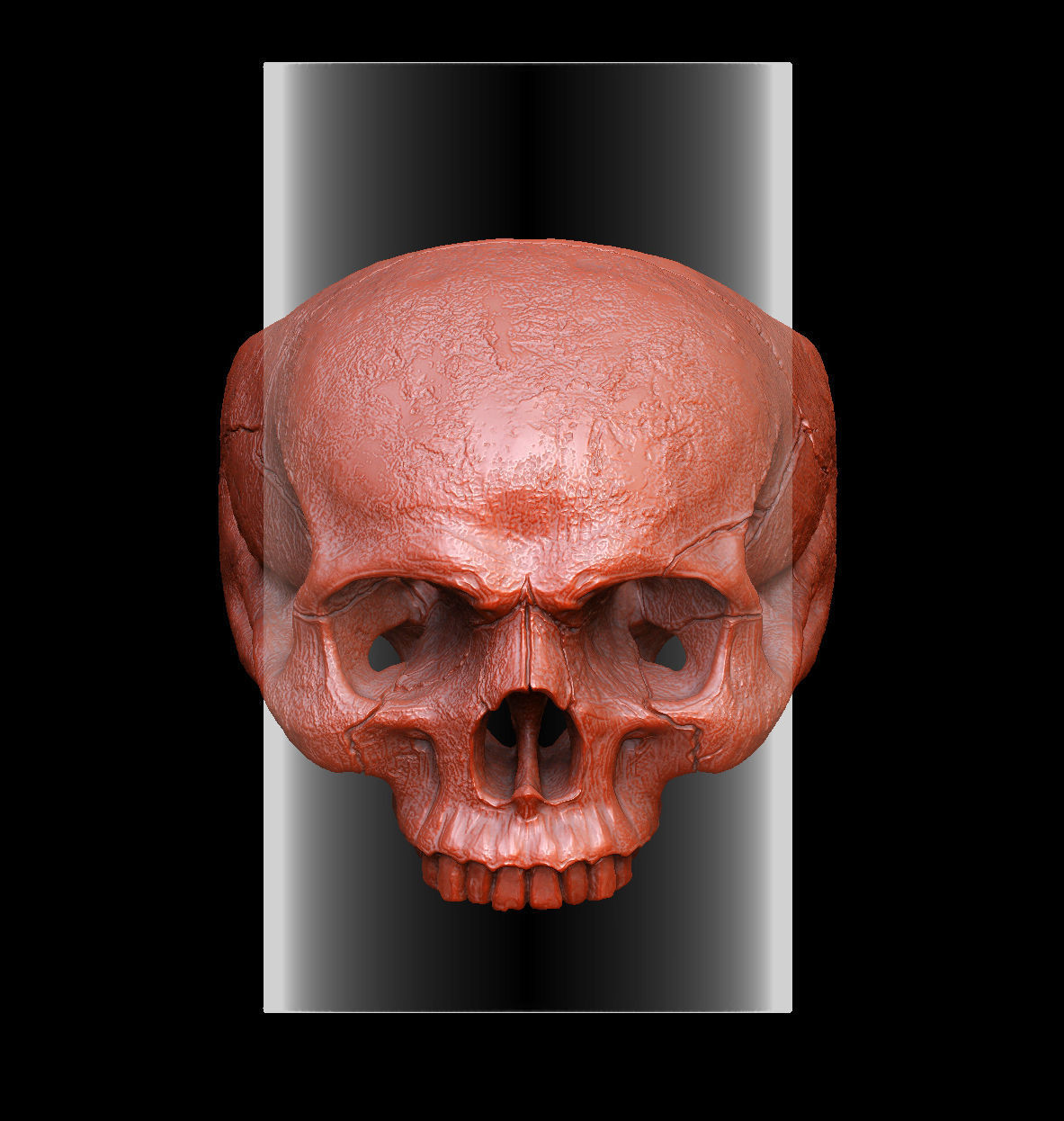 skull ring without jaw ver2 3D print model_4