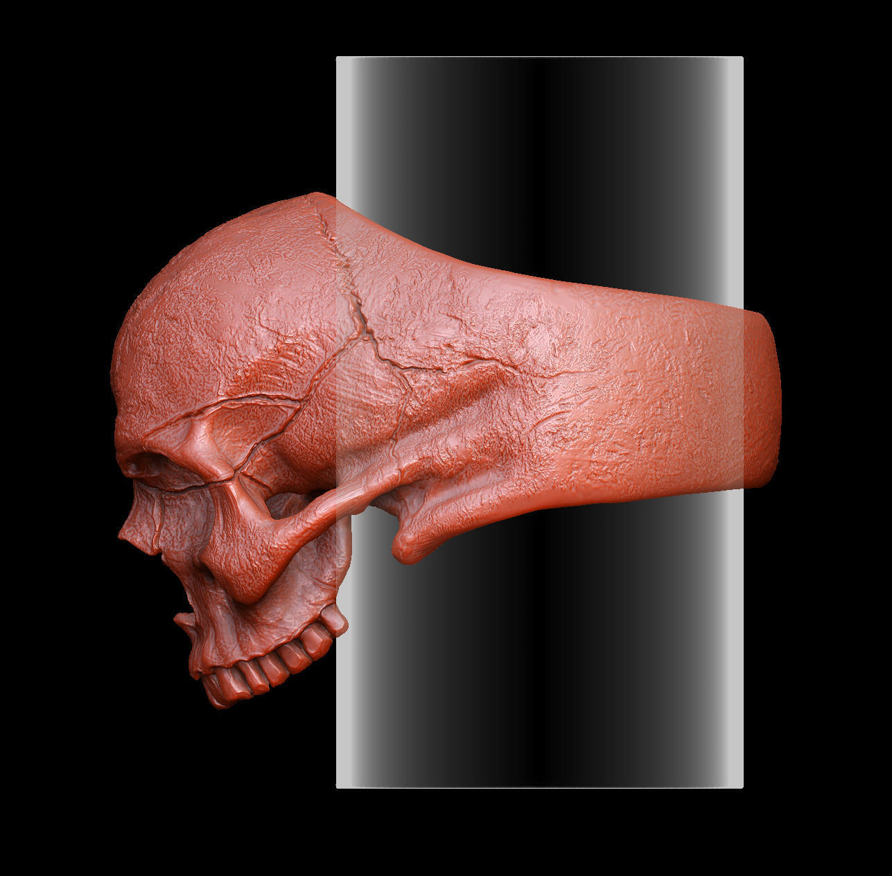 skull ring without jaw ver2 3D print model_3