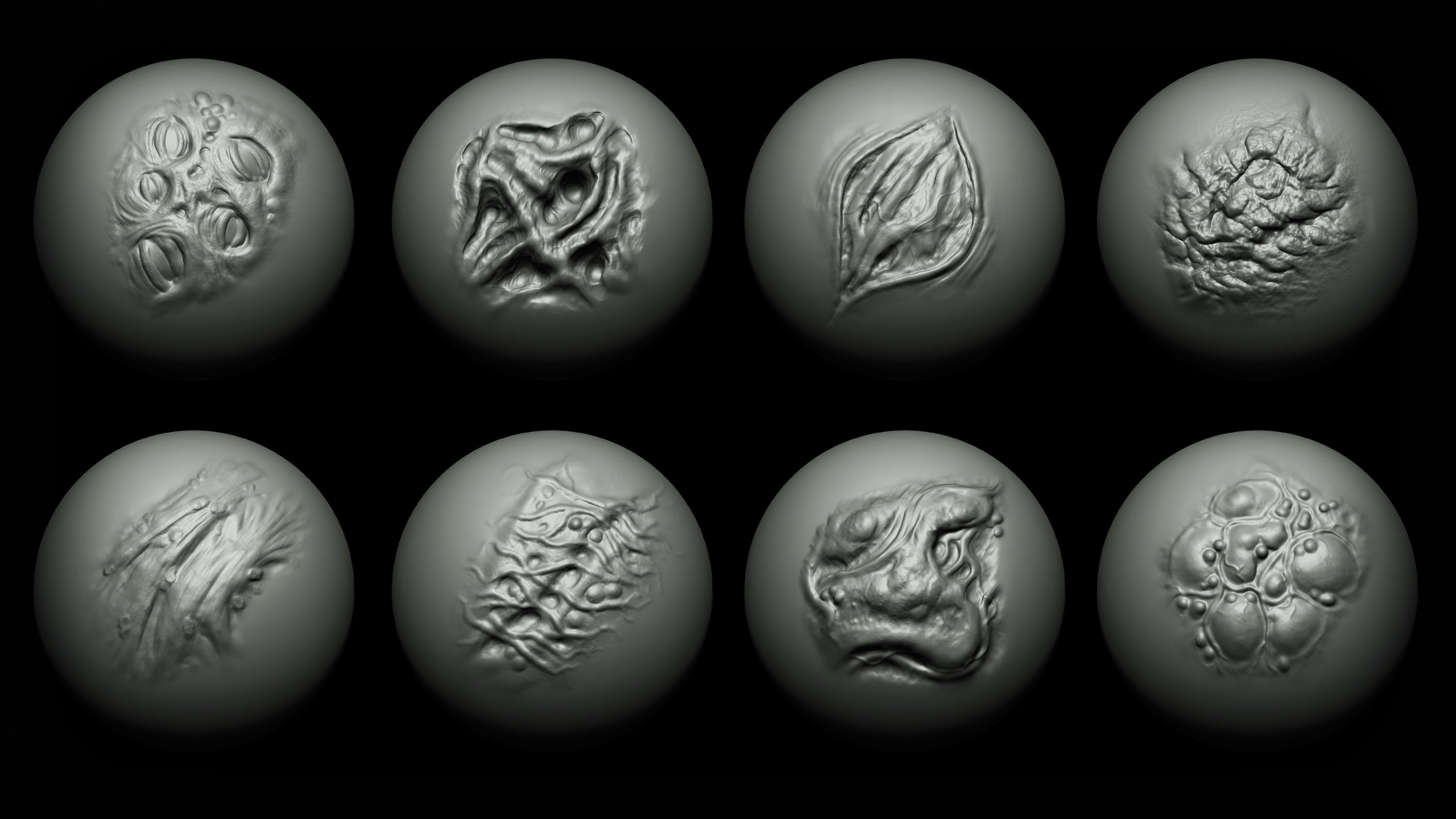 Zbrush and Blender - Zombie VDM Brush 3D model_3