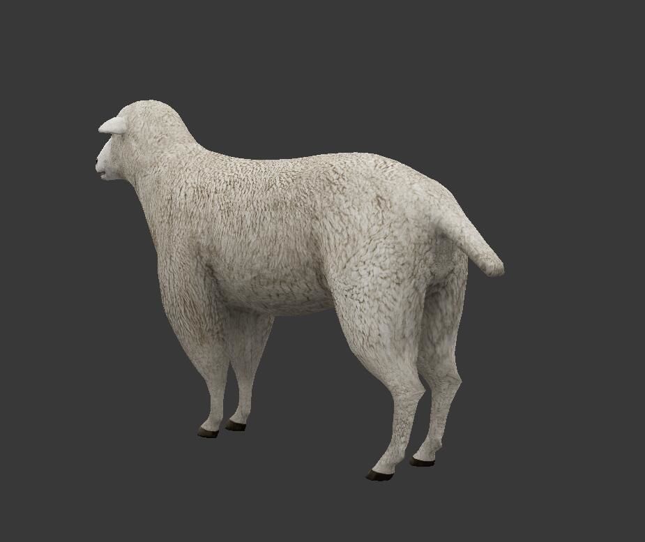 sheep Low-poly 3D model_2
