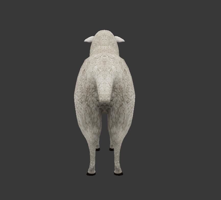 sheep Low-poly 3D model_3