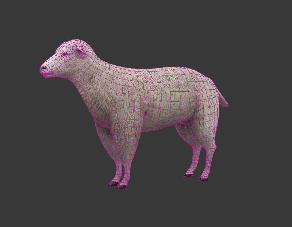 sheep Low-poly 3D model_7