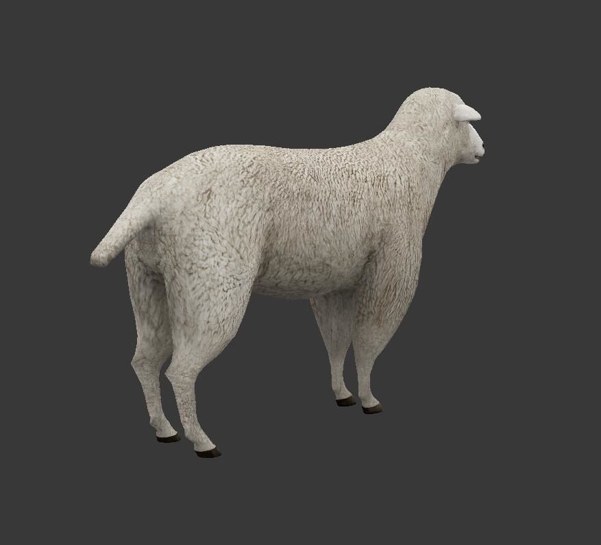 sheep Low-poly 3D model_4