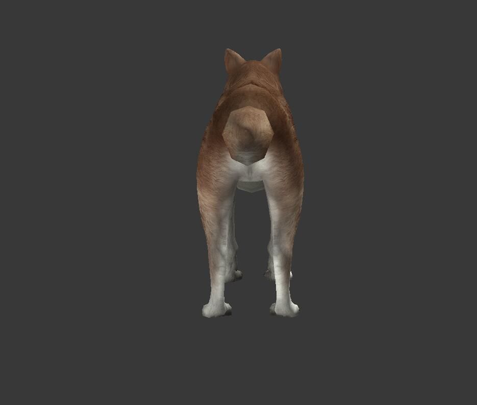 Brown Wolf Low-poly 3D model_4