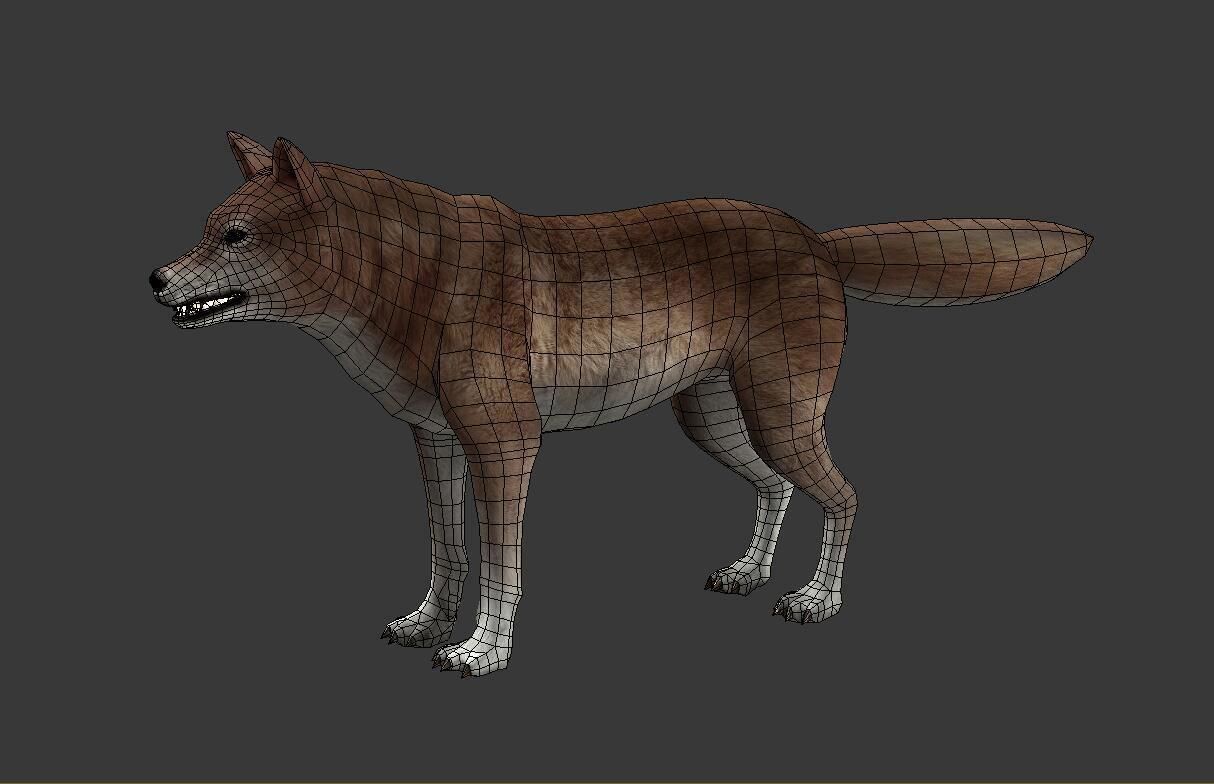 Brown Wolf Low-poly 3D model_1