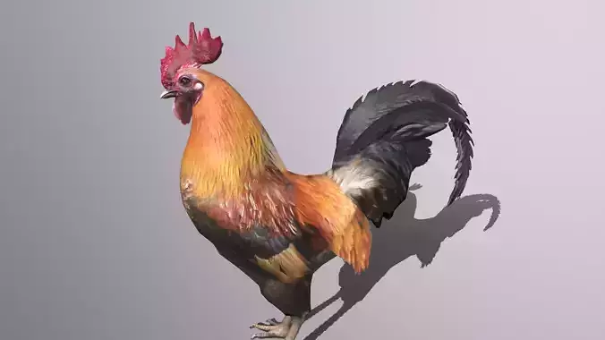Cock Rooster Low-poly 3D model