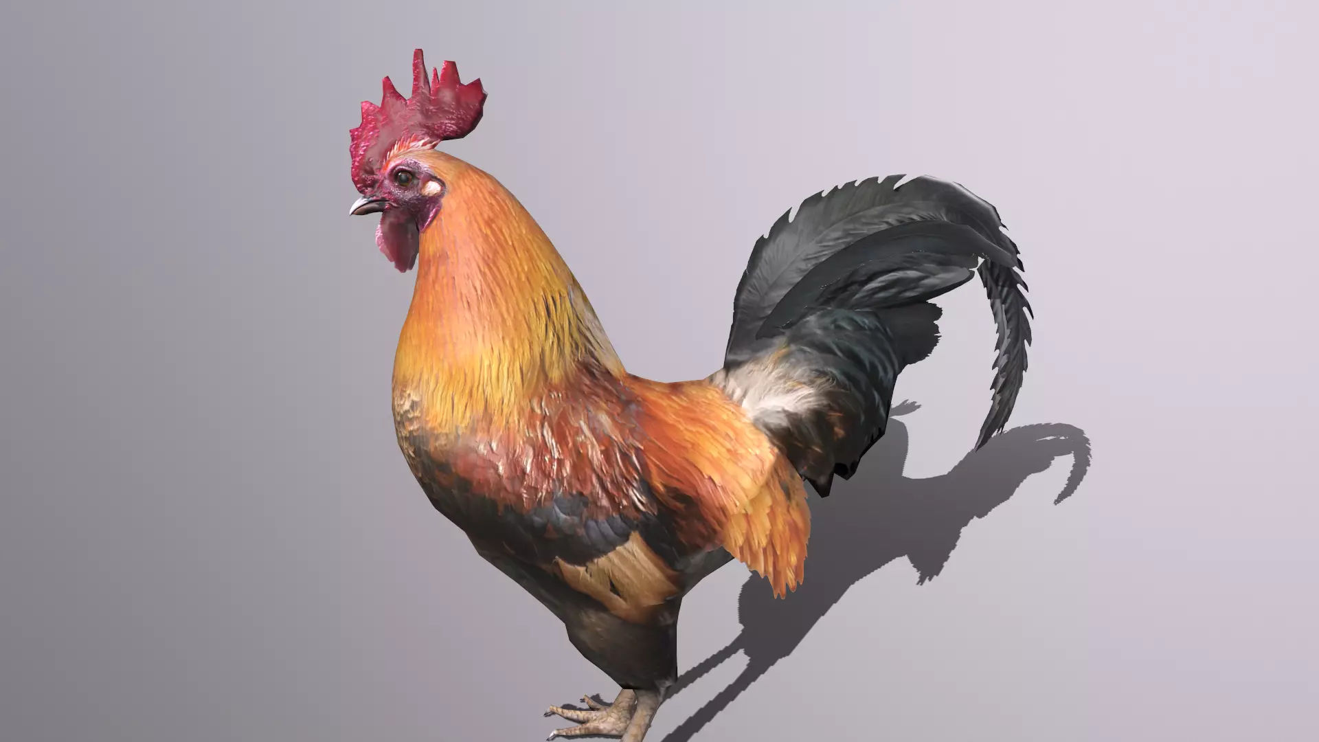 Rooster Low-poly 3D model