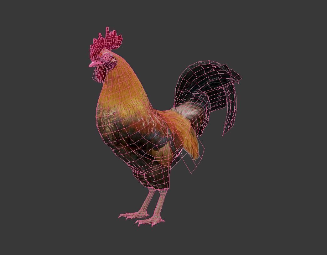 Cock  Rooster Low-poly 3D model_1