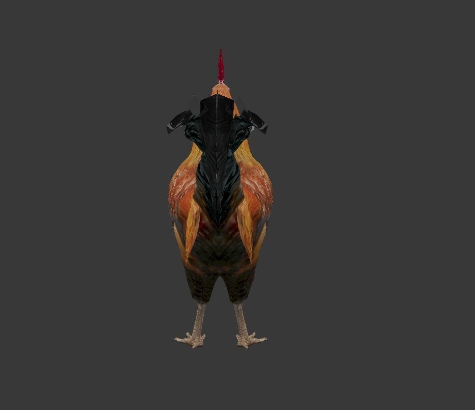 Cock  Rooster Low-poly 3D model_4
