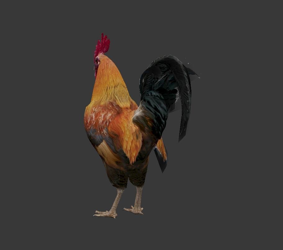 Cock  Rooster Low-poly 3D model_3