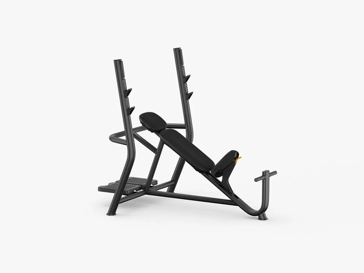 Technogym Element Inclined Weight Bench 3D model_0