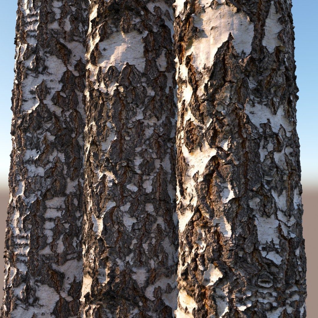 Birch Bark Material Texture_2