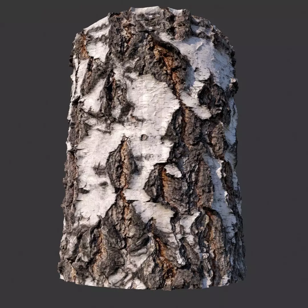 Birch Bark Material Texture_0