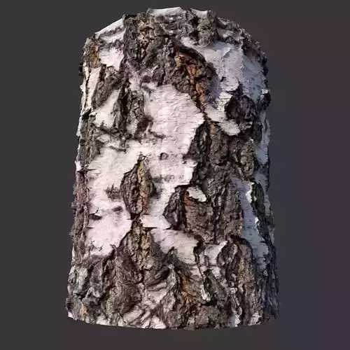 Birch Bark Material Texture