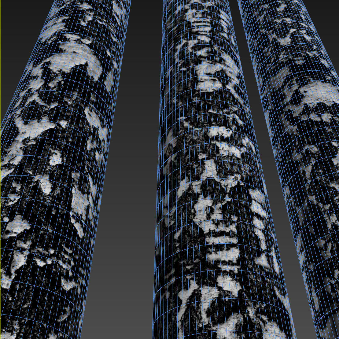 Birch Bark Material Texture_6