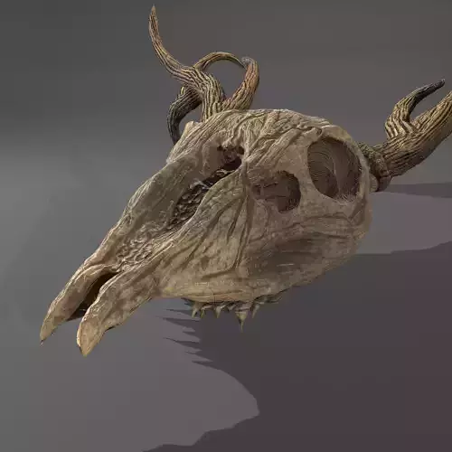 Stag Skull
