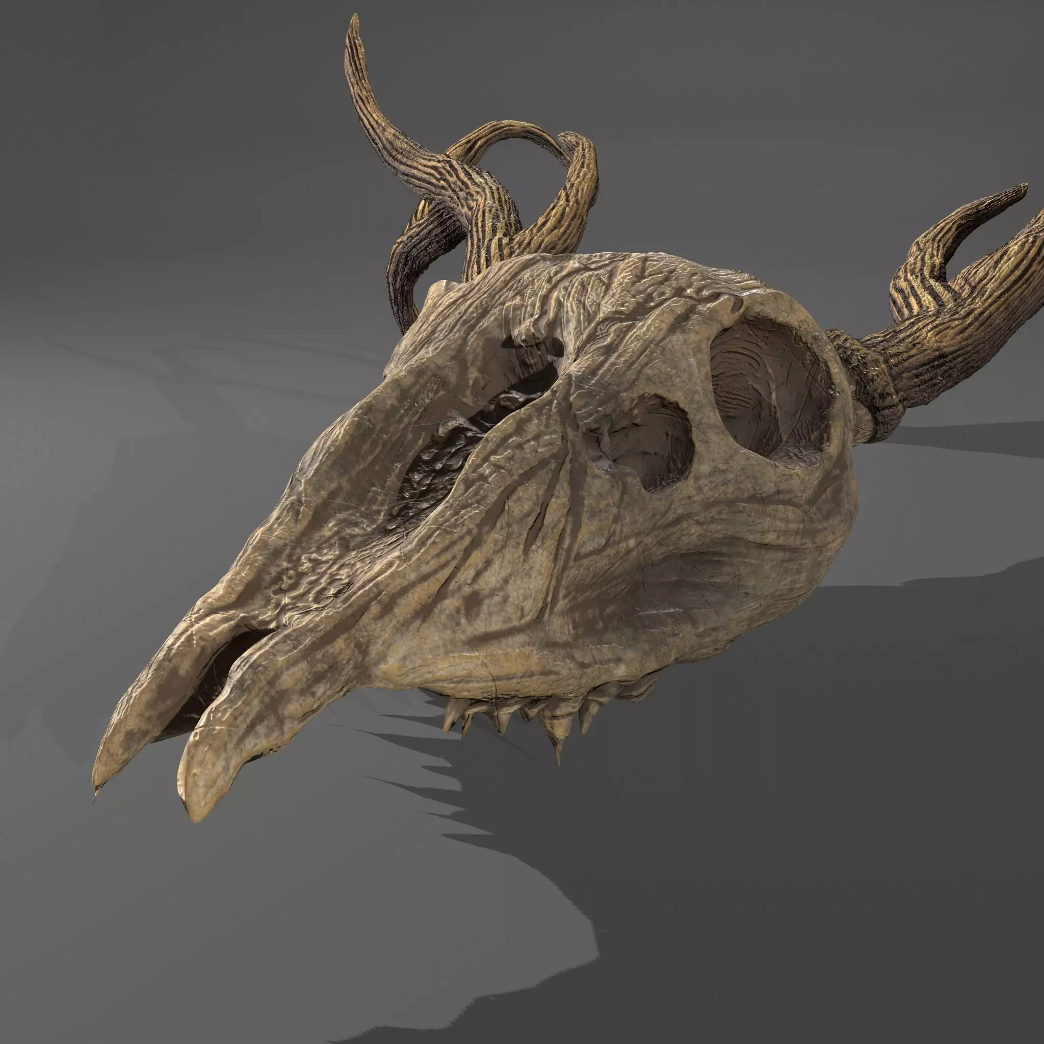 Stag Skull 3D model_0