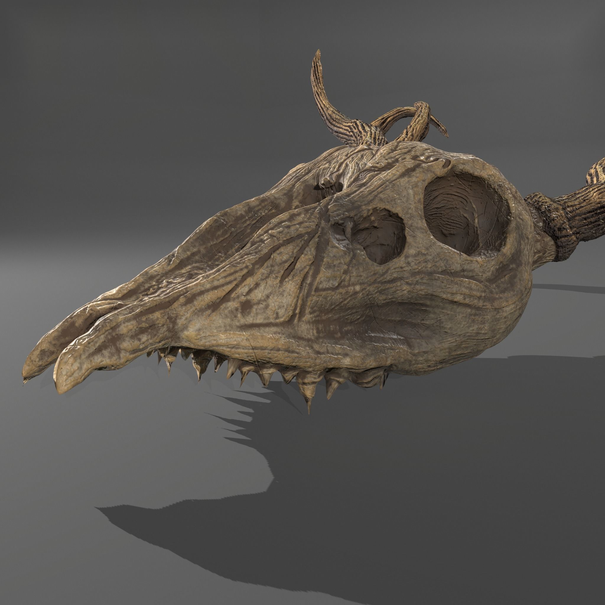 Stag Skull 3D model_5