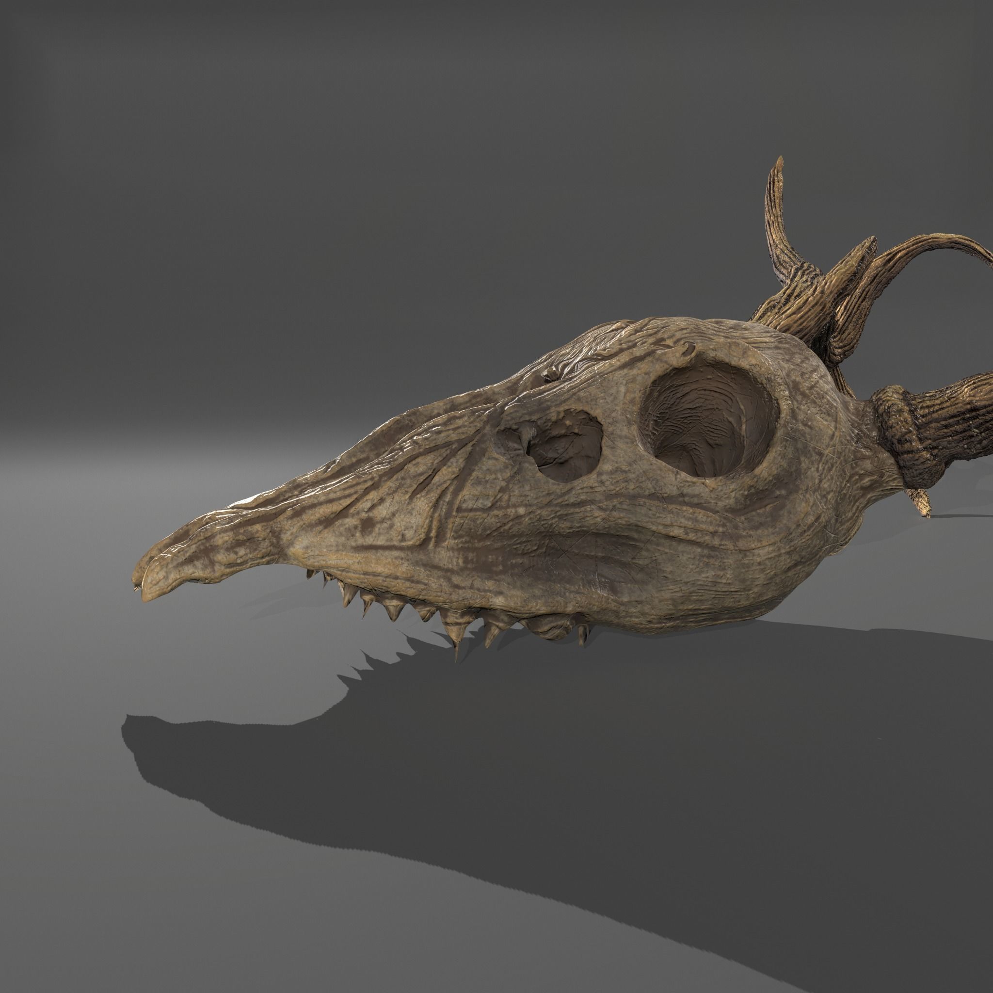 Stag Skull 3D model_6