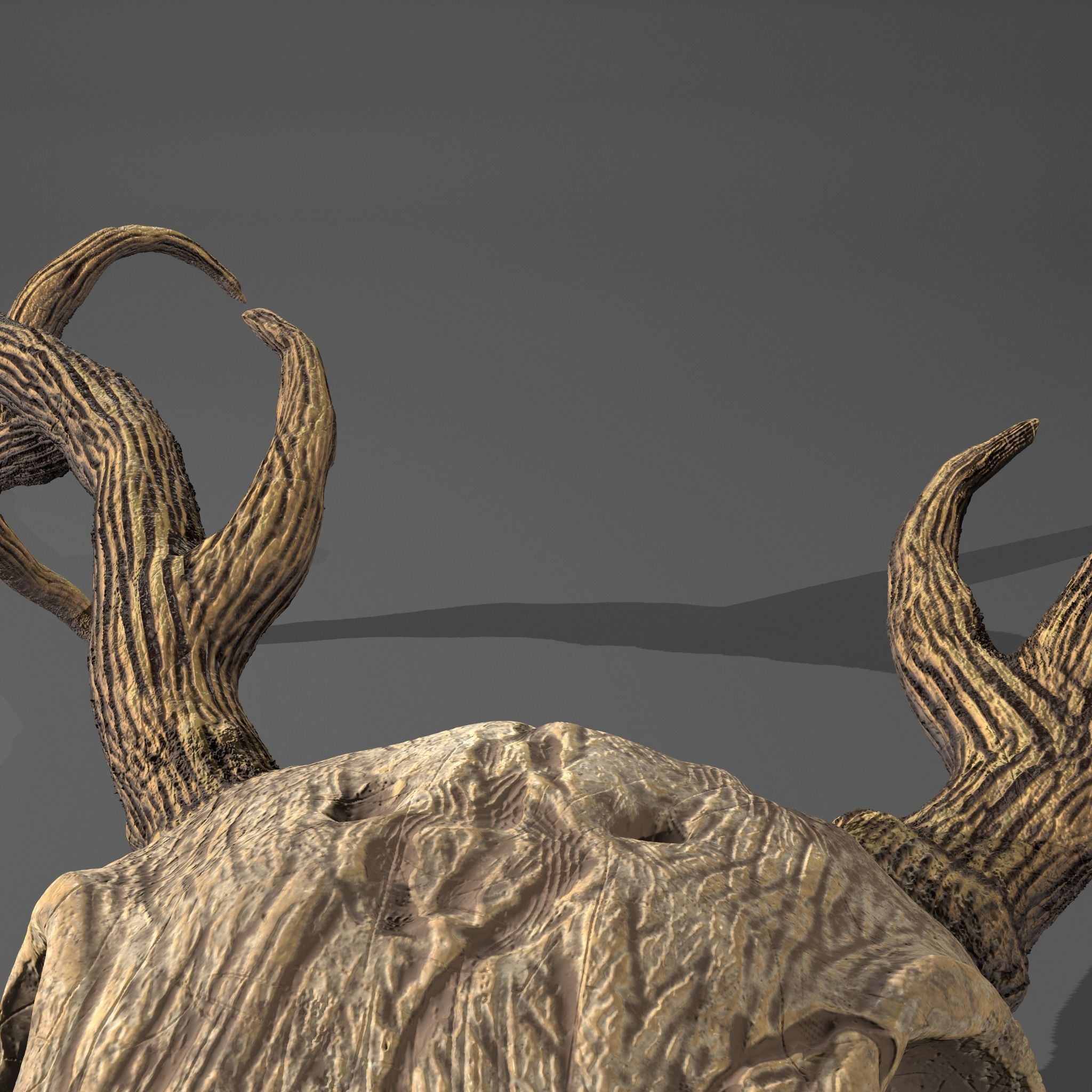 Stag Skull 3D model_29