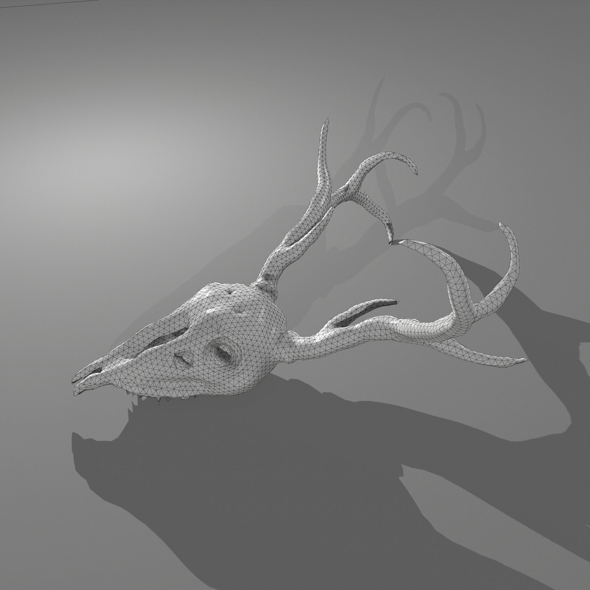 Stag Skull 3D model_33