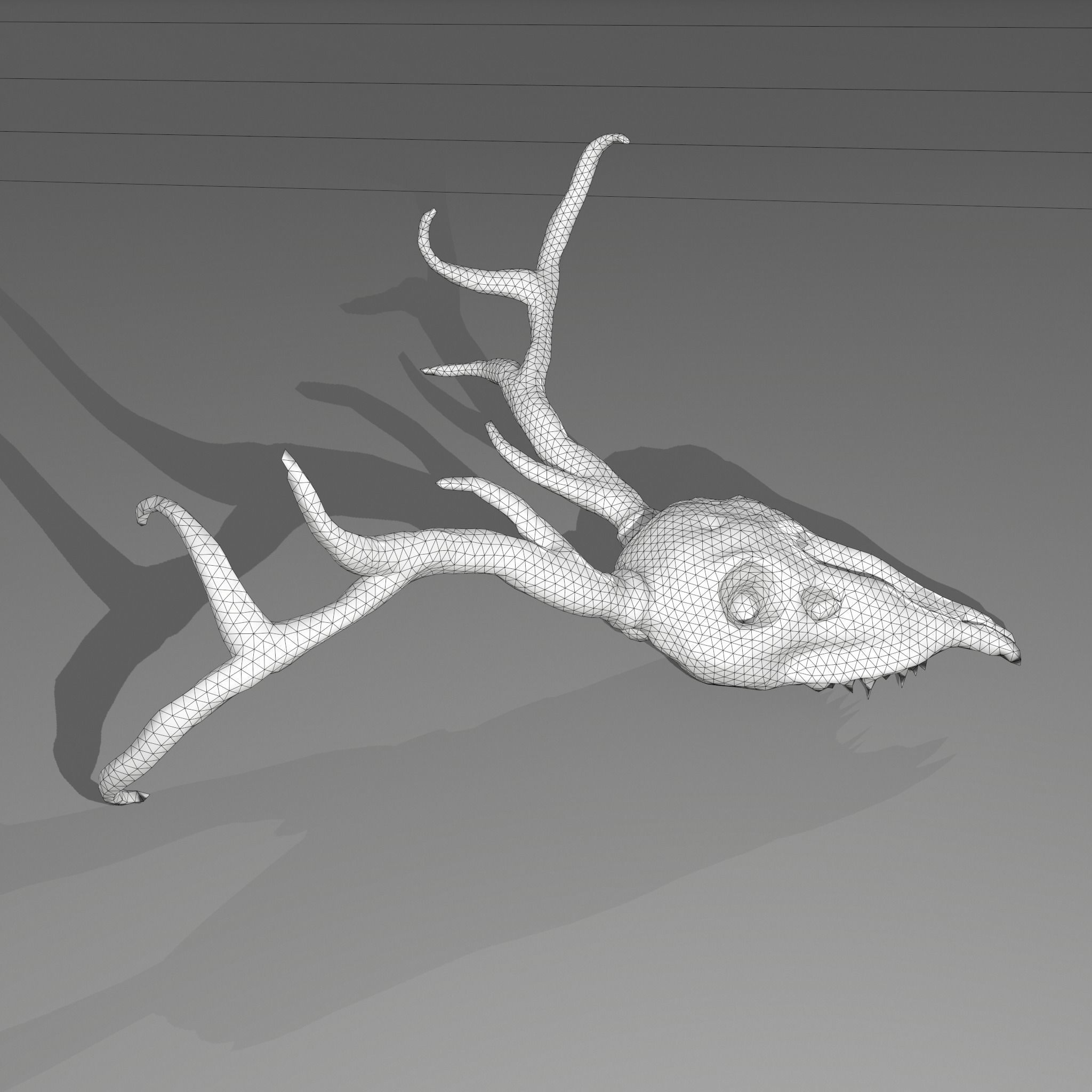 Stag Skull 3D model_35