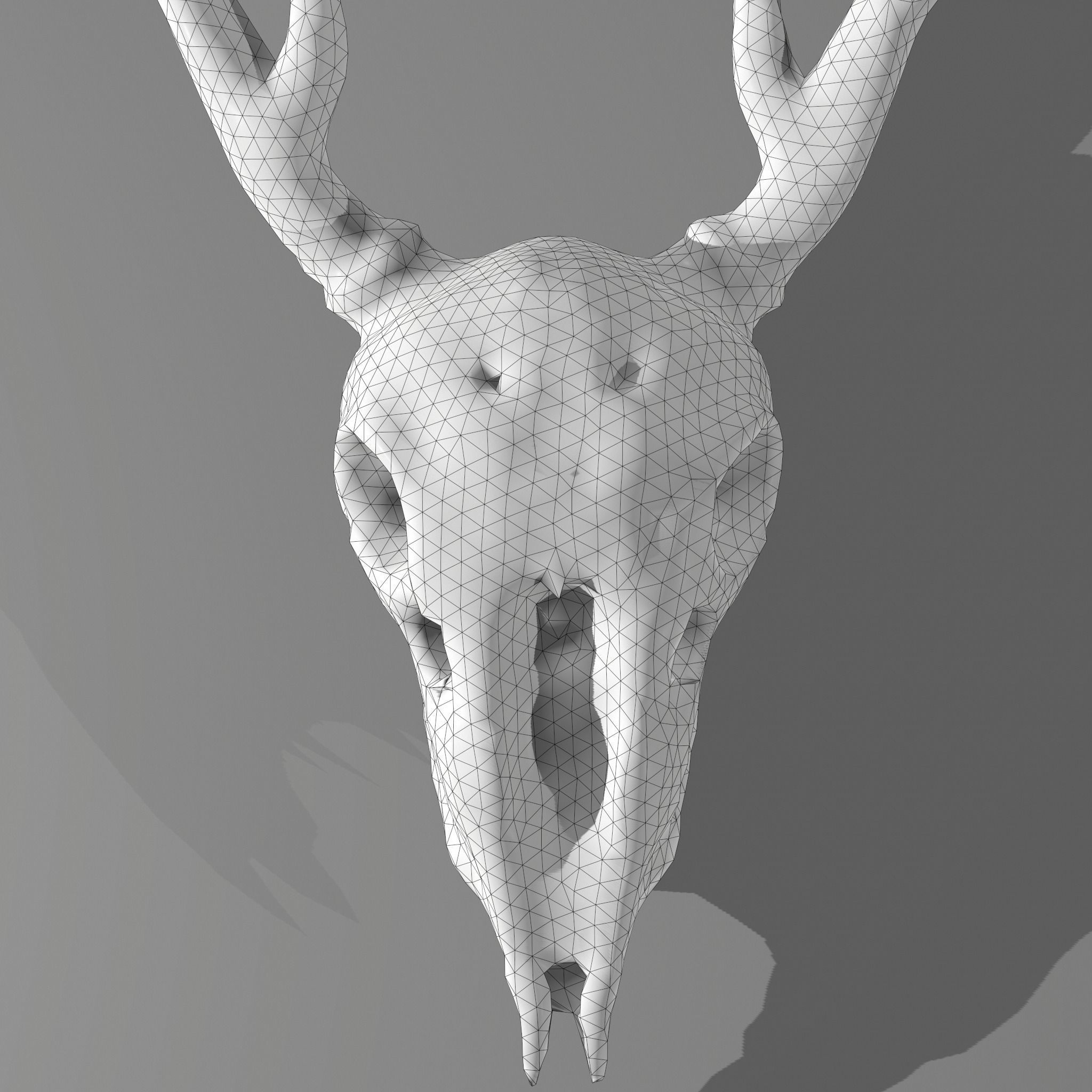 Stag Skull 3D model_32