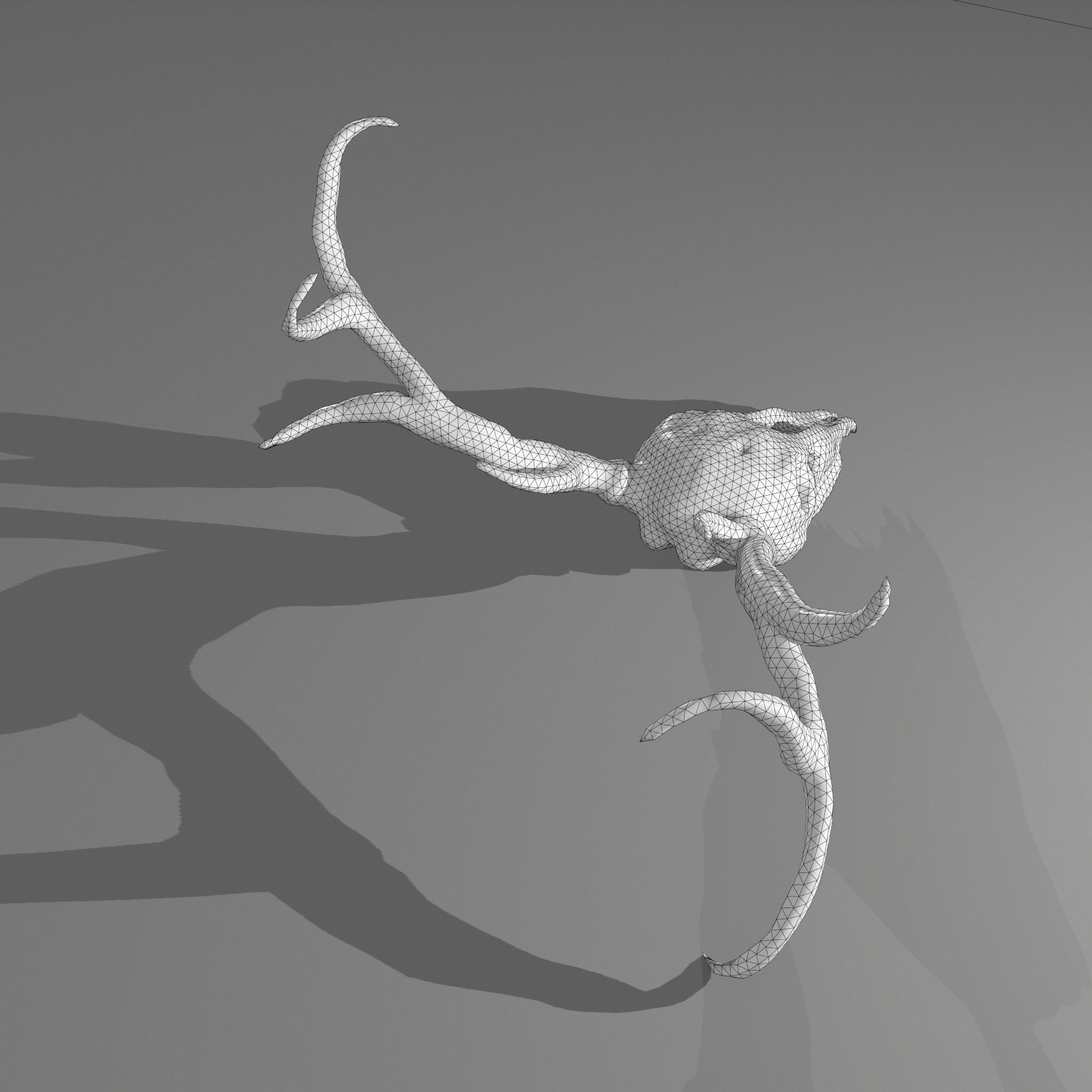 Stag Skull 3D model_34