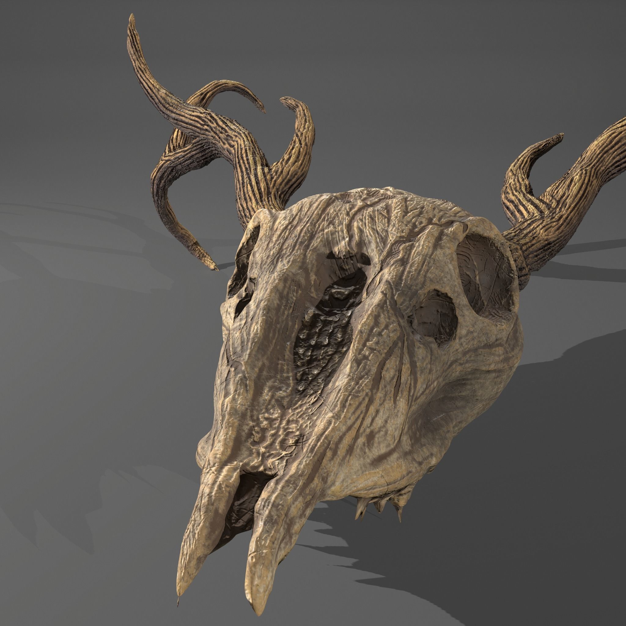 Stag Skull 3D model_2