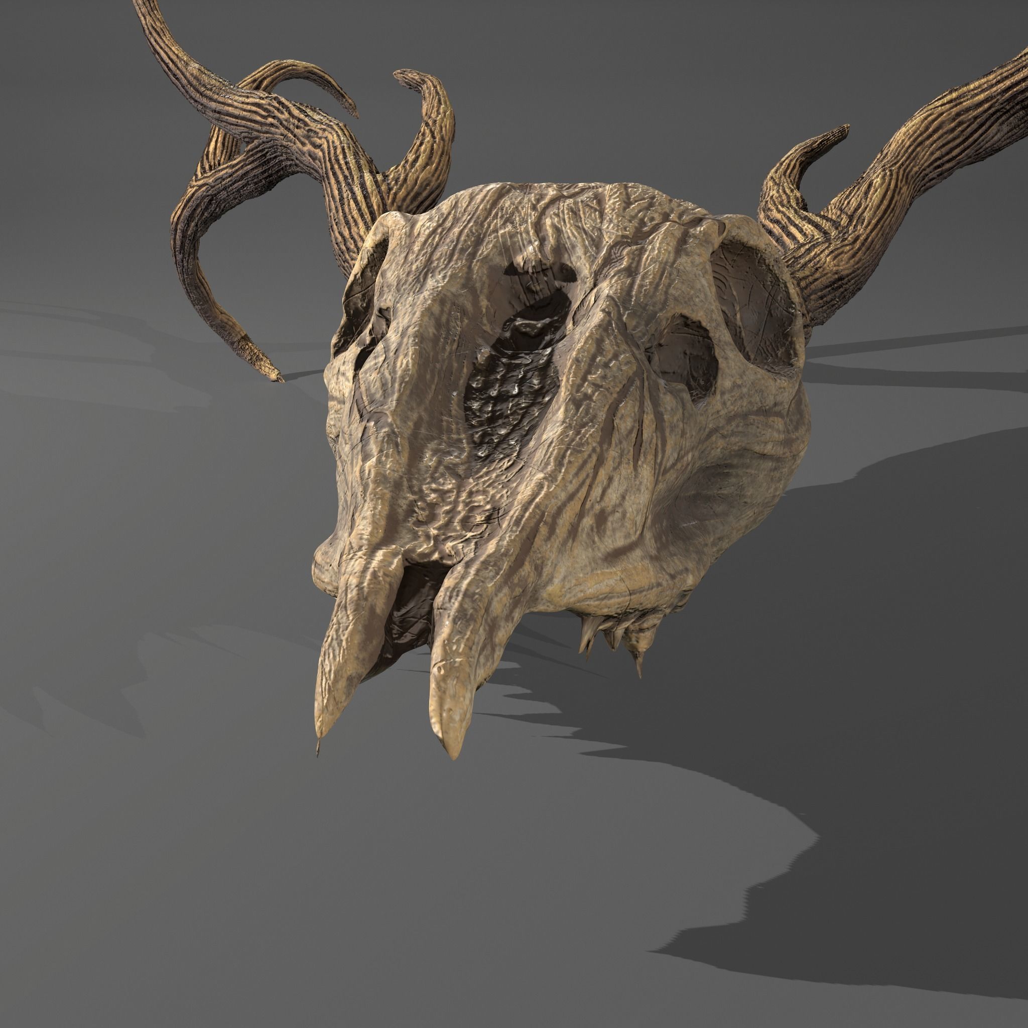 Stag Skull 3D model_30