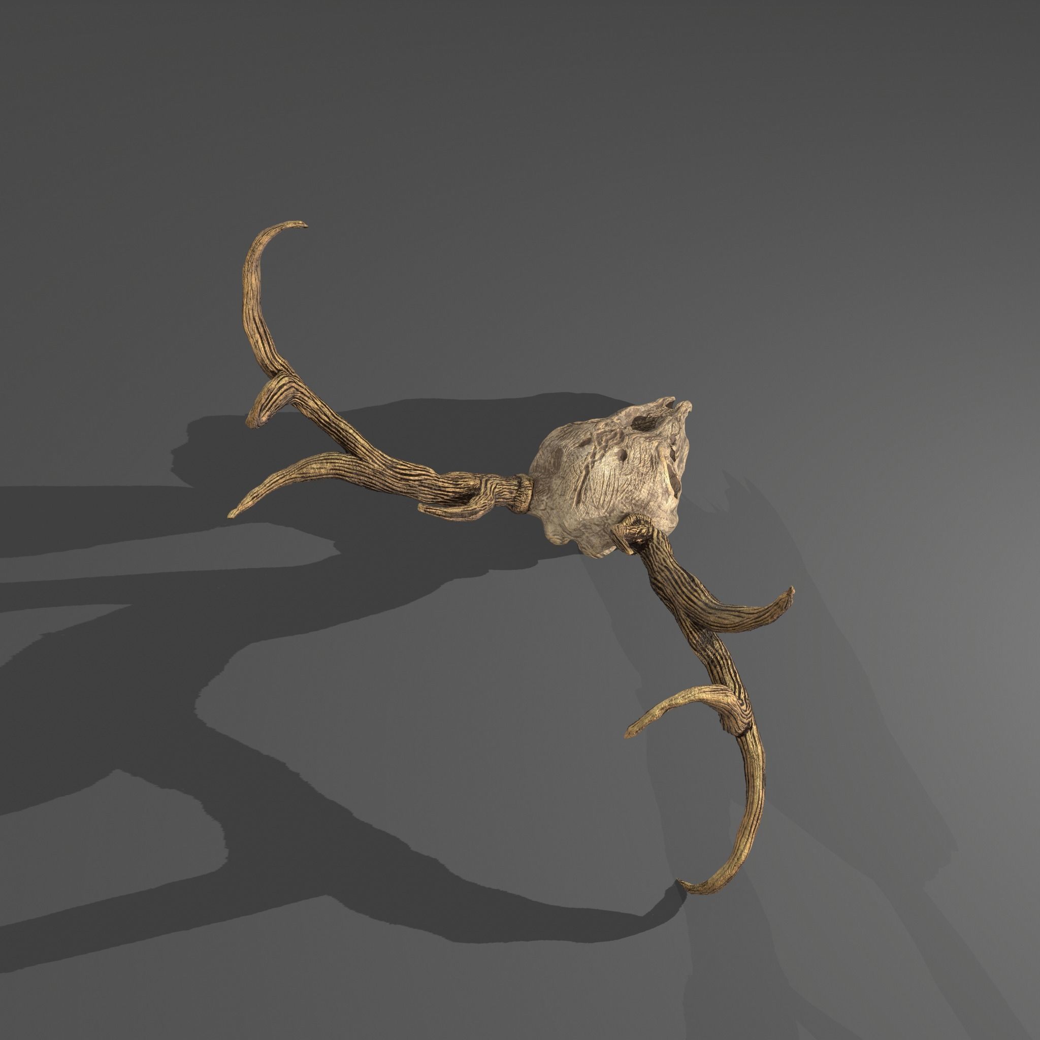 Stag Skull 3D model_22