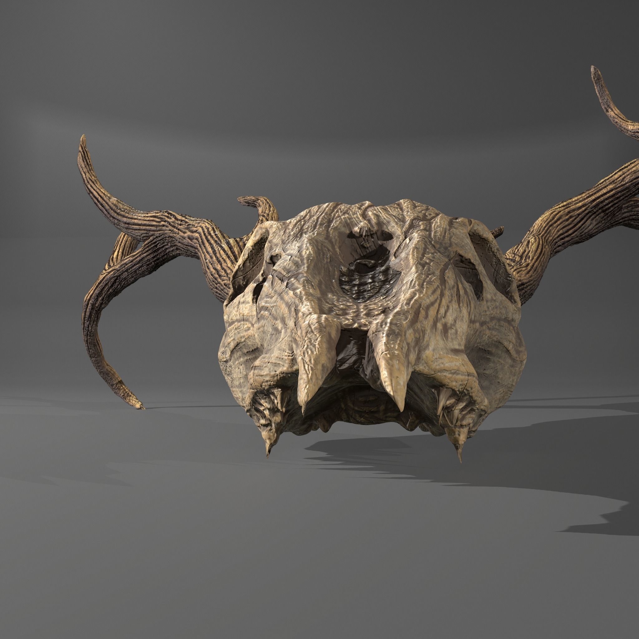 Stag Skull 3D model_3