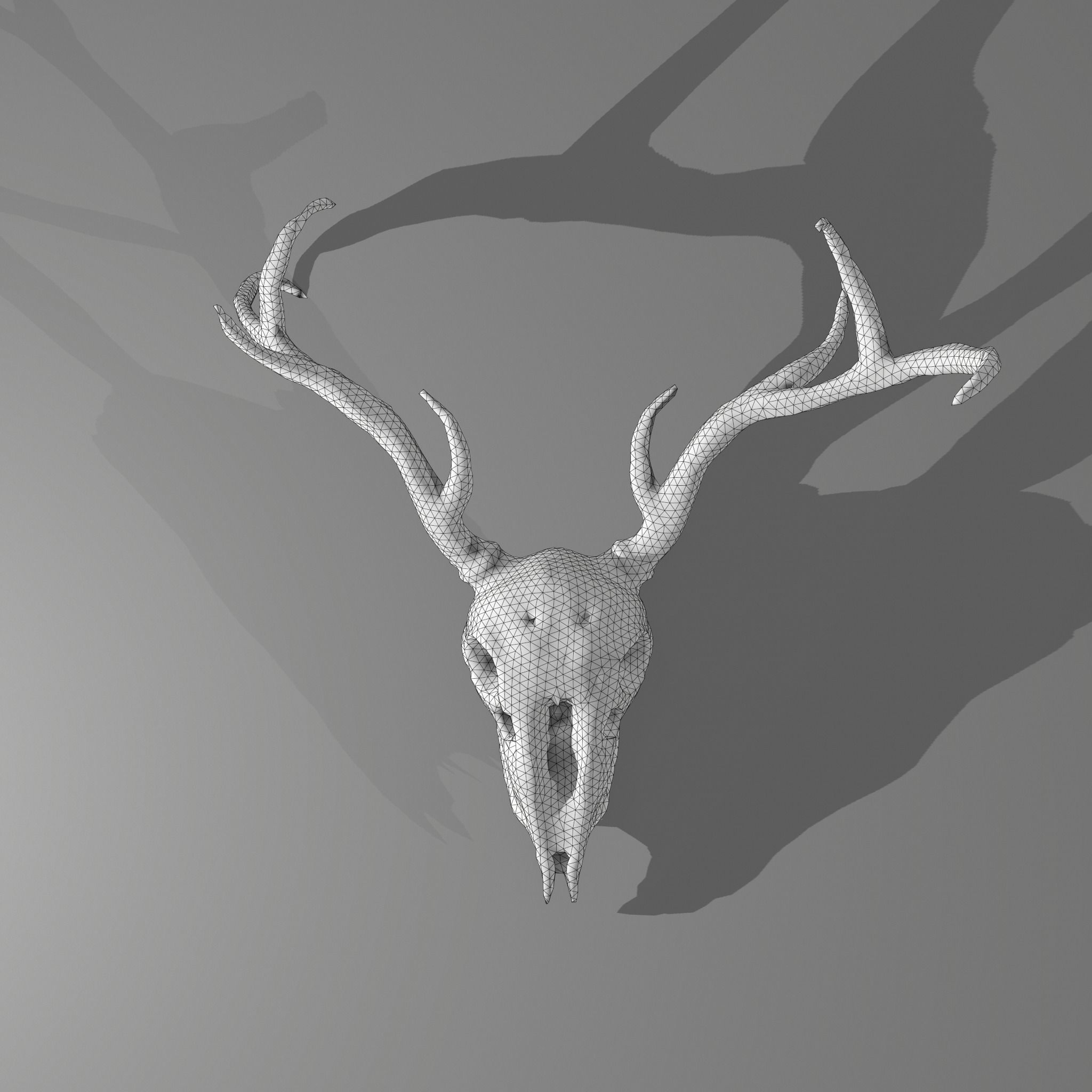Stag Skull 3D model_31