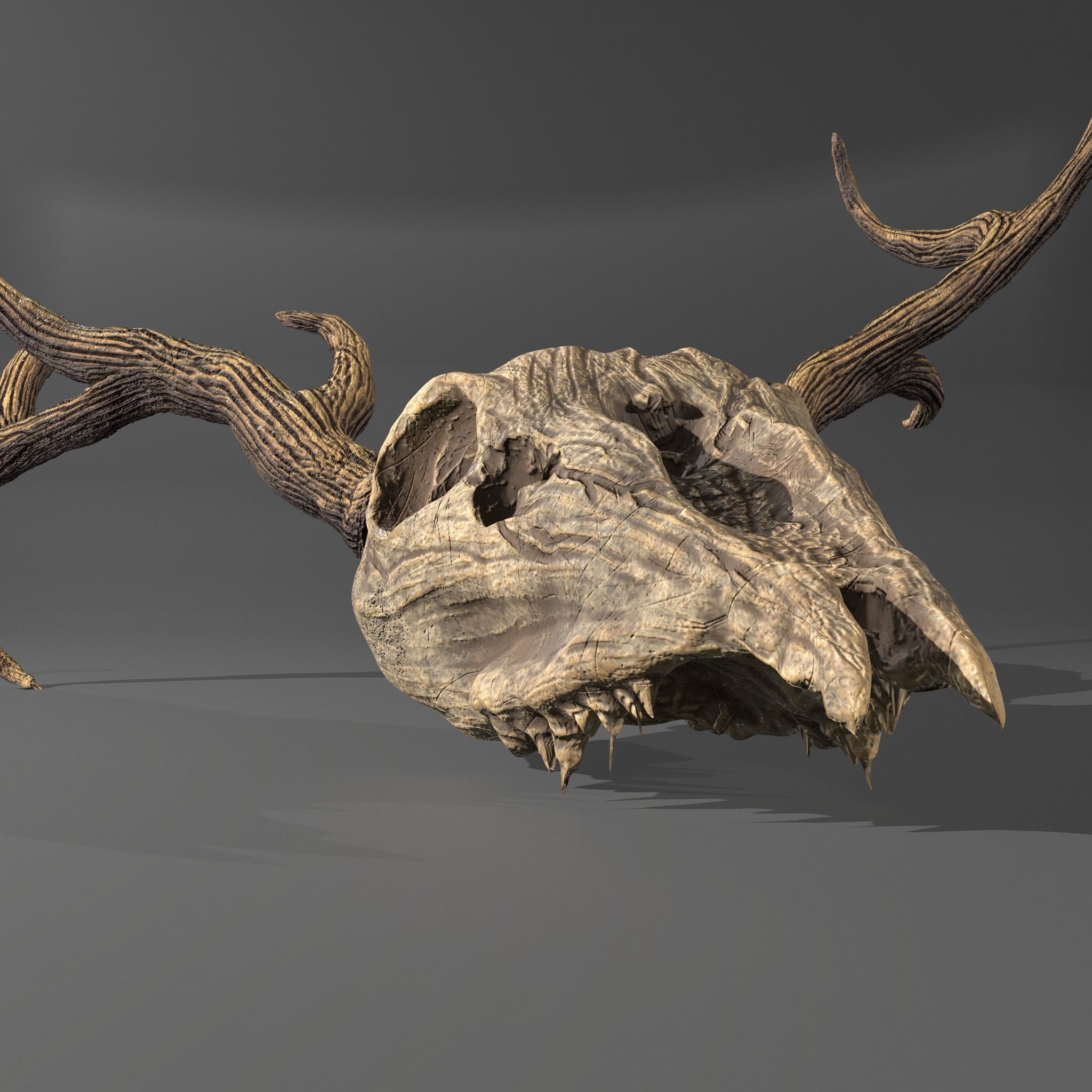 Stag Skull 3D model_4