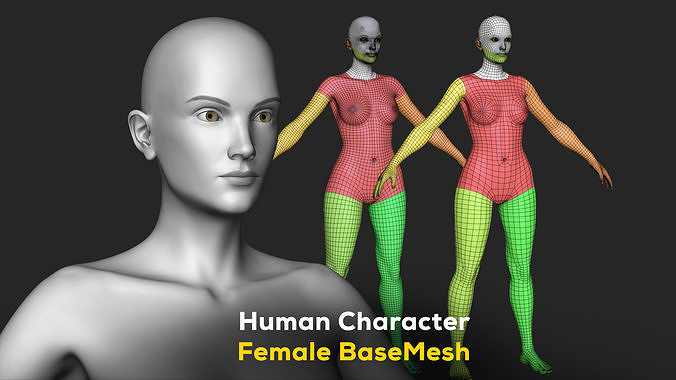 Human Character Female BaseMesh - Woman Body Low-poly 3D model