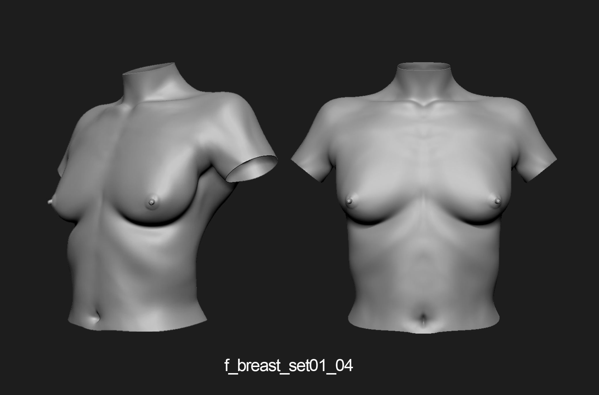 Female breast set01 3D model_5