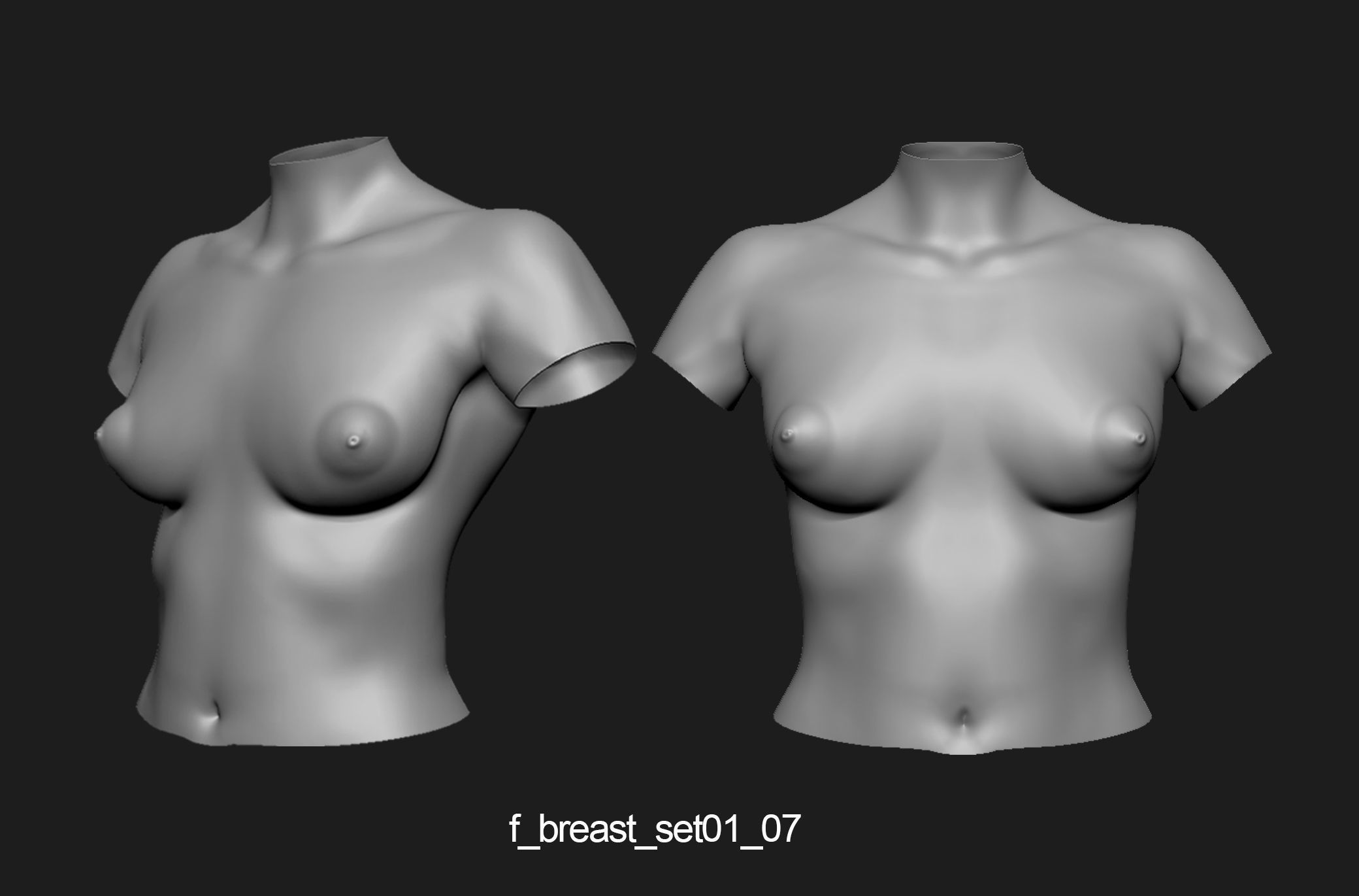 Female breast set01 3D model_8
