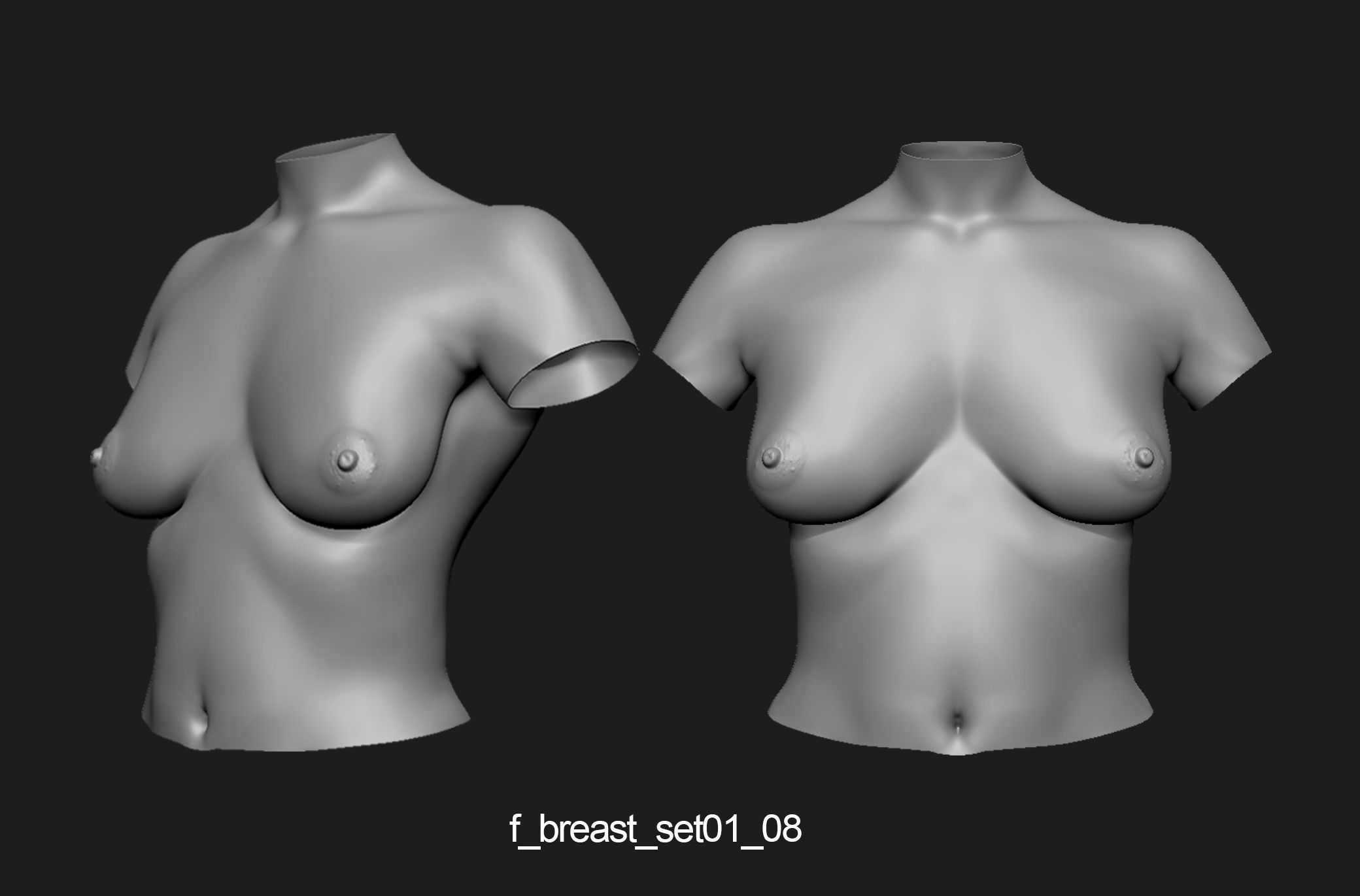 Female breast set01 3D model_9