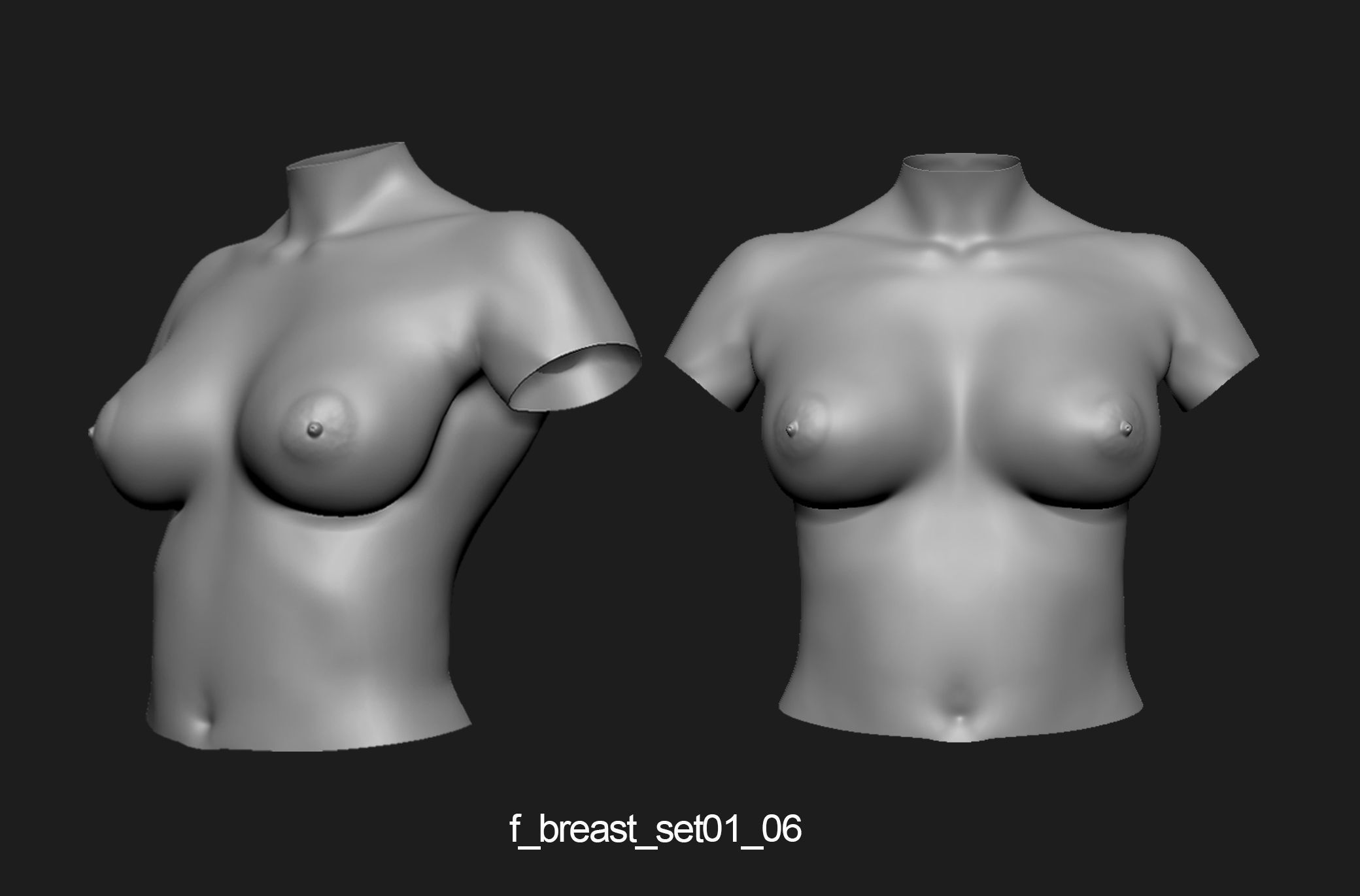 Female breast set01 3D model_7