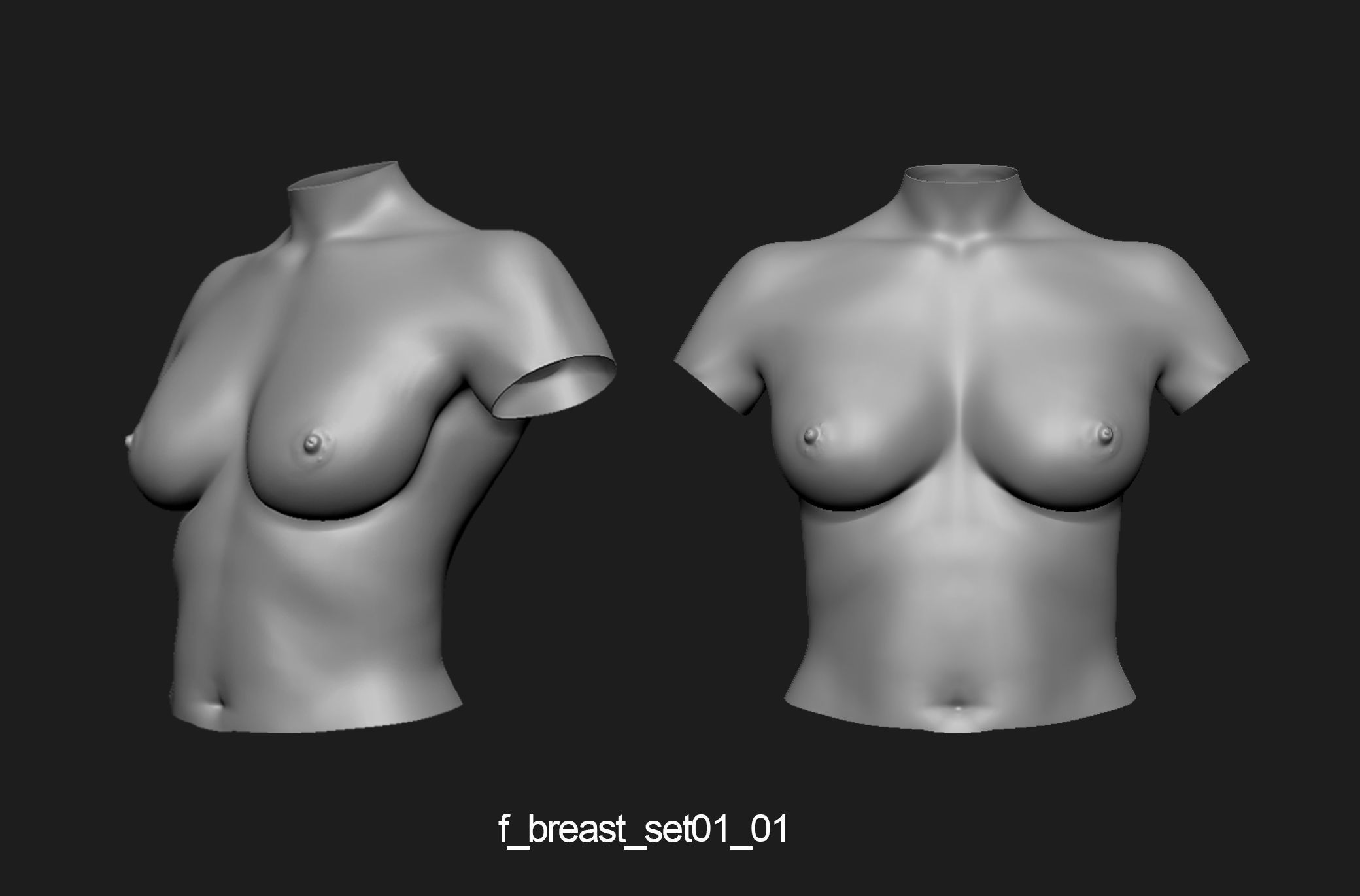 Female breast set01 3D model_2