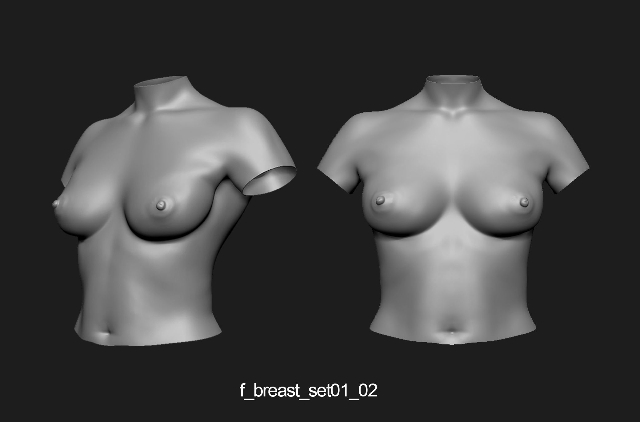 Female breast set01 3D model_3