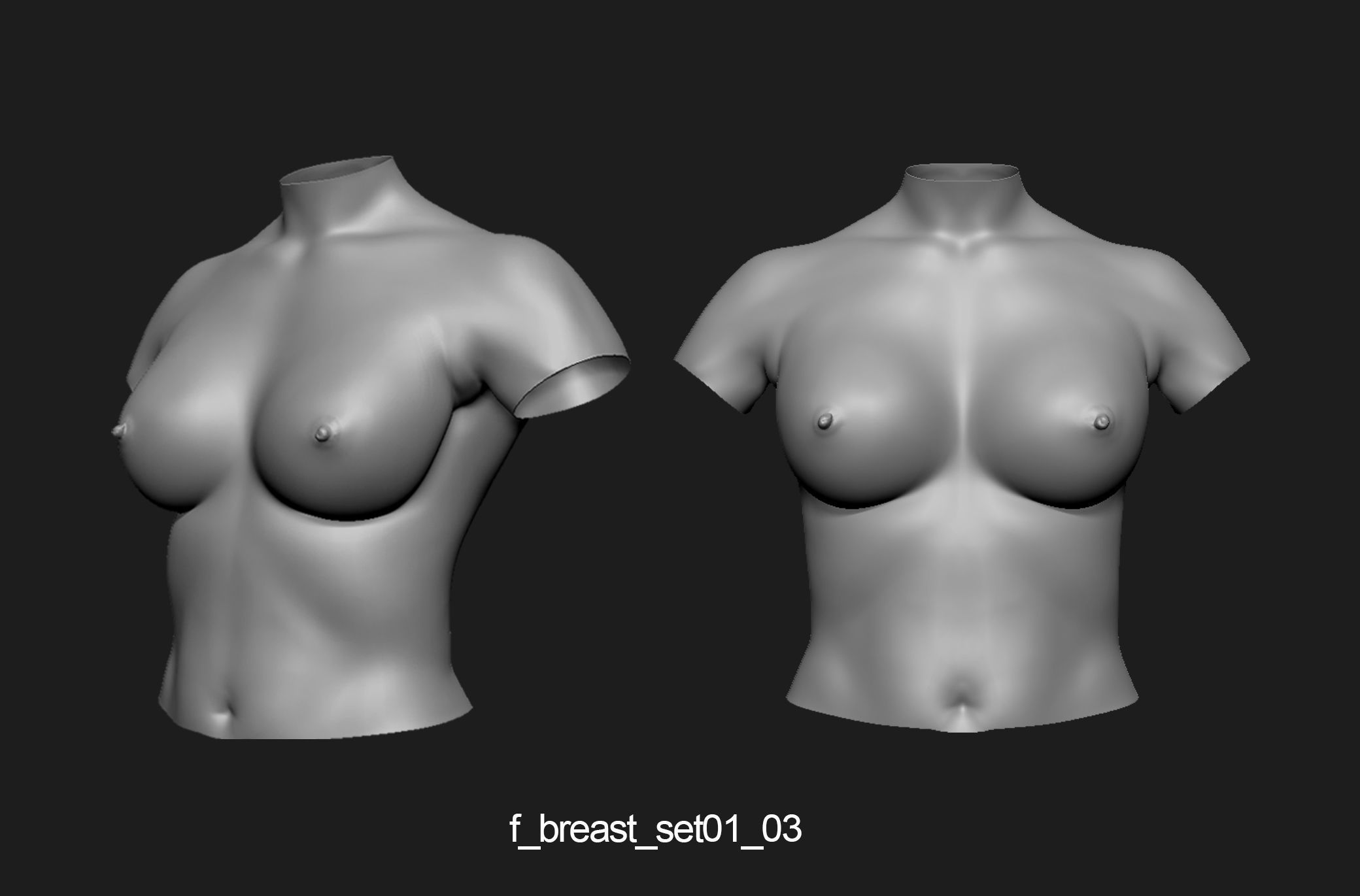 Female breast set01 3D model_4