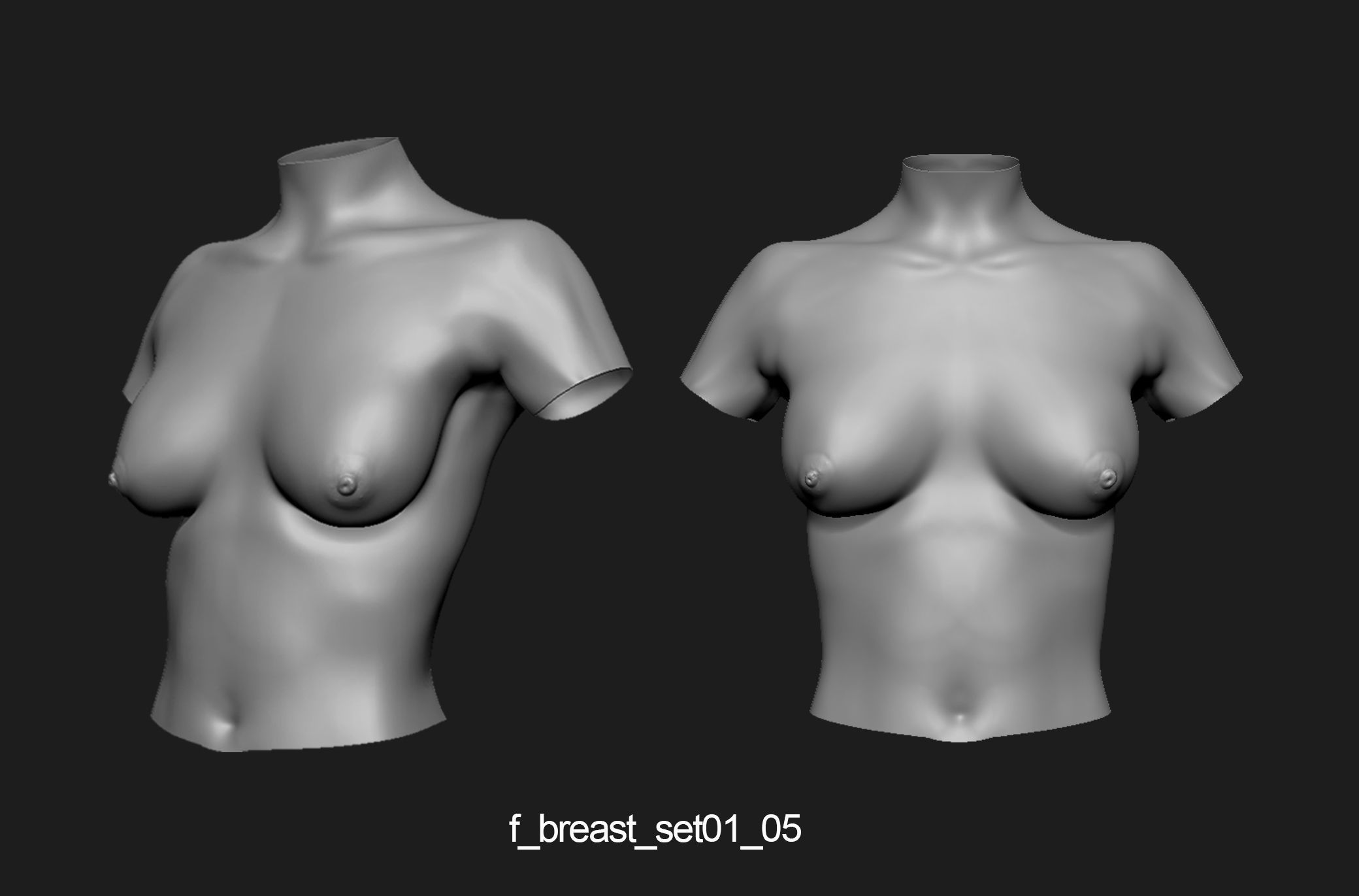 Female breast set01 3D model_6